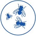 A simple blue outline of a circle contains three blue flies of varying sizes, each with detailed wings. The flies are spaced apart and oriented in different directions within the circle. The background is white.